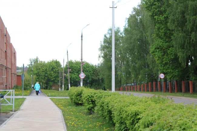 19 мая: прогноз погоды в Киреевском районе и народные приметы дня