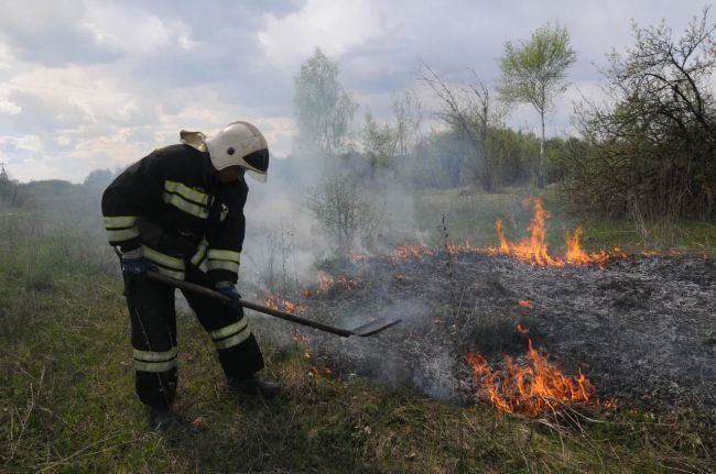 В Тульской области объявлено метеопредупреждение из-за высокой пожароопасности
