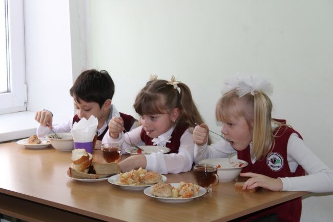 Жители Тульской области на 87,5% удовлетворены качеством питания в школах