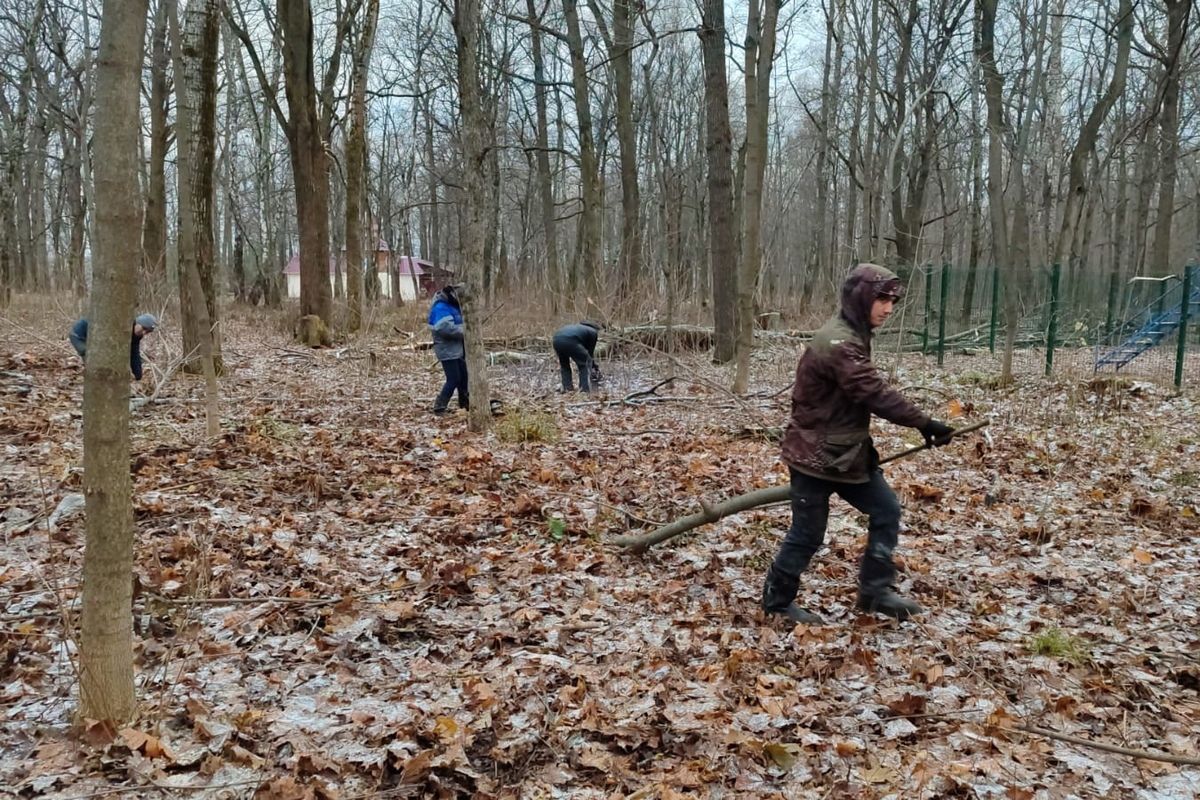 В Болохово очищают парк от поросли и аварийных деревьев В Болохово очищают парк от поросли и аварийных деревьев
