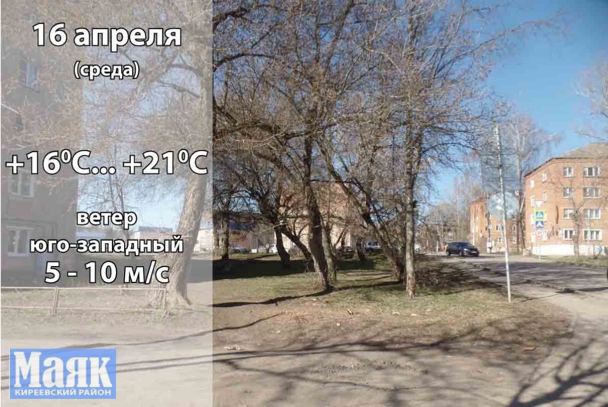 16 апреля: погода в Киреевском районе и народные приметы дня