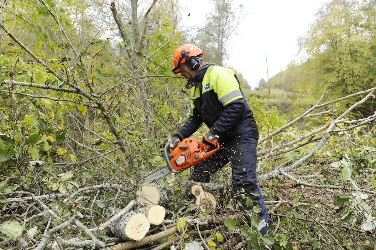 «Россети Центр и Приволжье» расчистили более 455 га трасс линий электропередачи в Тульской области