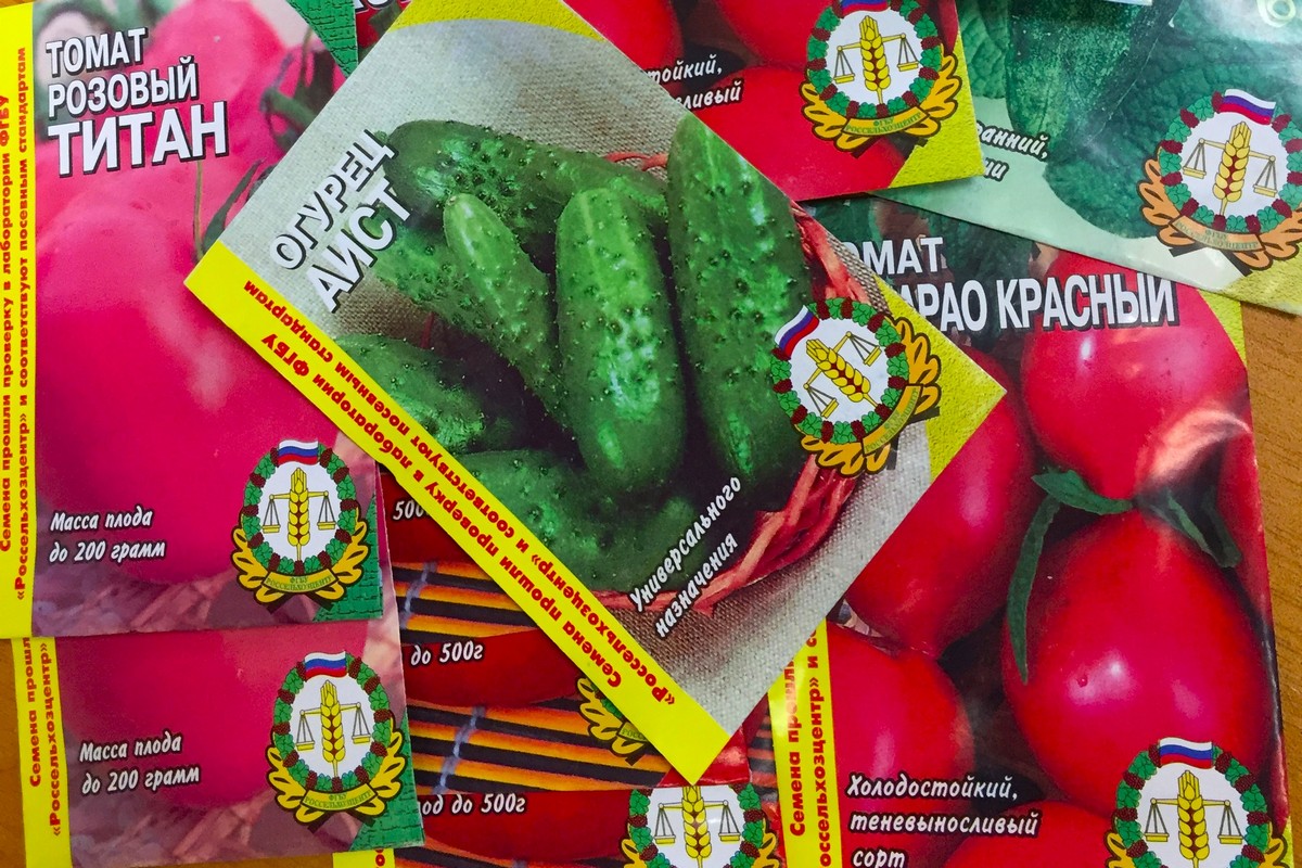 Киреевчанам рассказали о зимних хлопотах садоводов Киреевчанам рассказали о зимних хлопотах садоводов