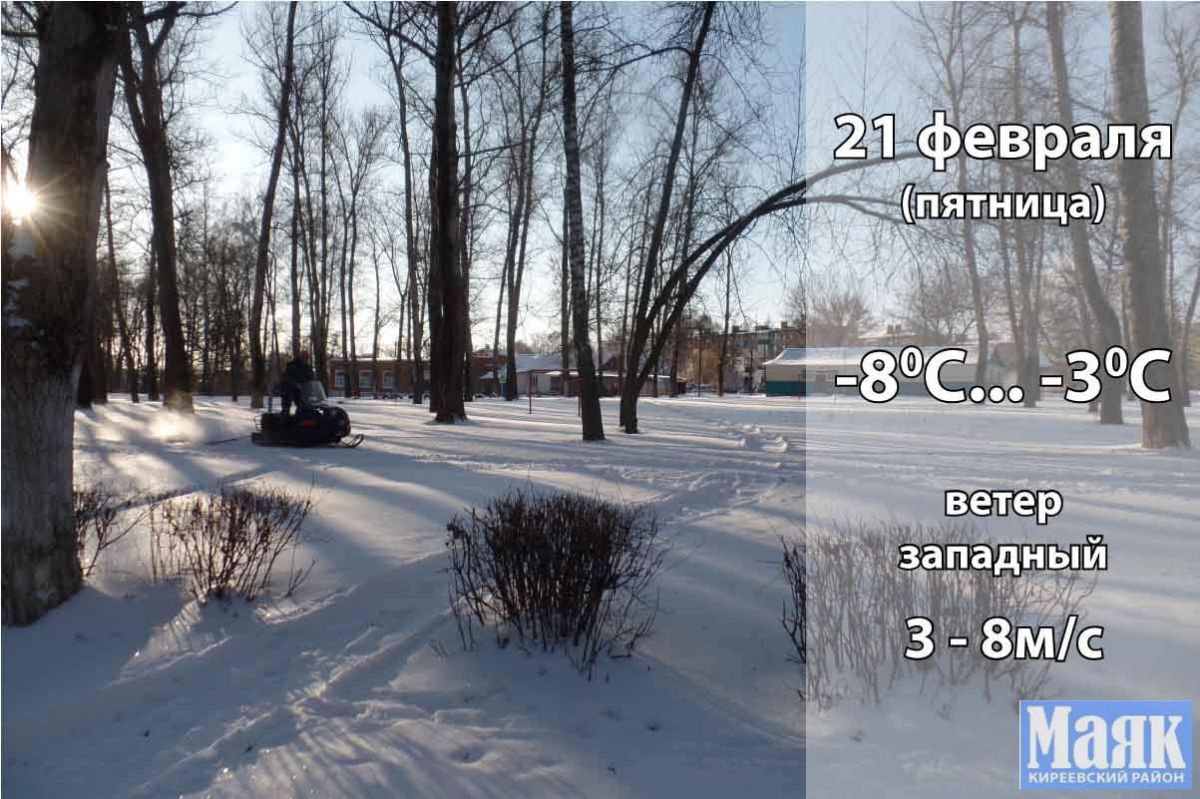 21 февраля: погода в Киреевском районе и народные приметы дня 21 февраля: погода в Киреевском районе и народные приметы дня
