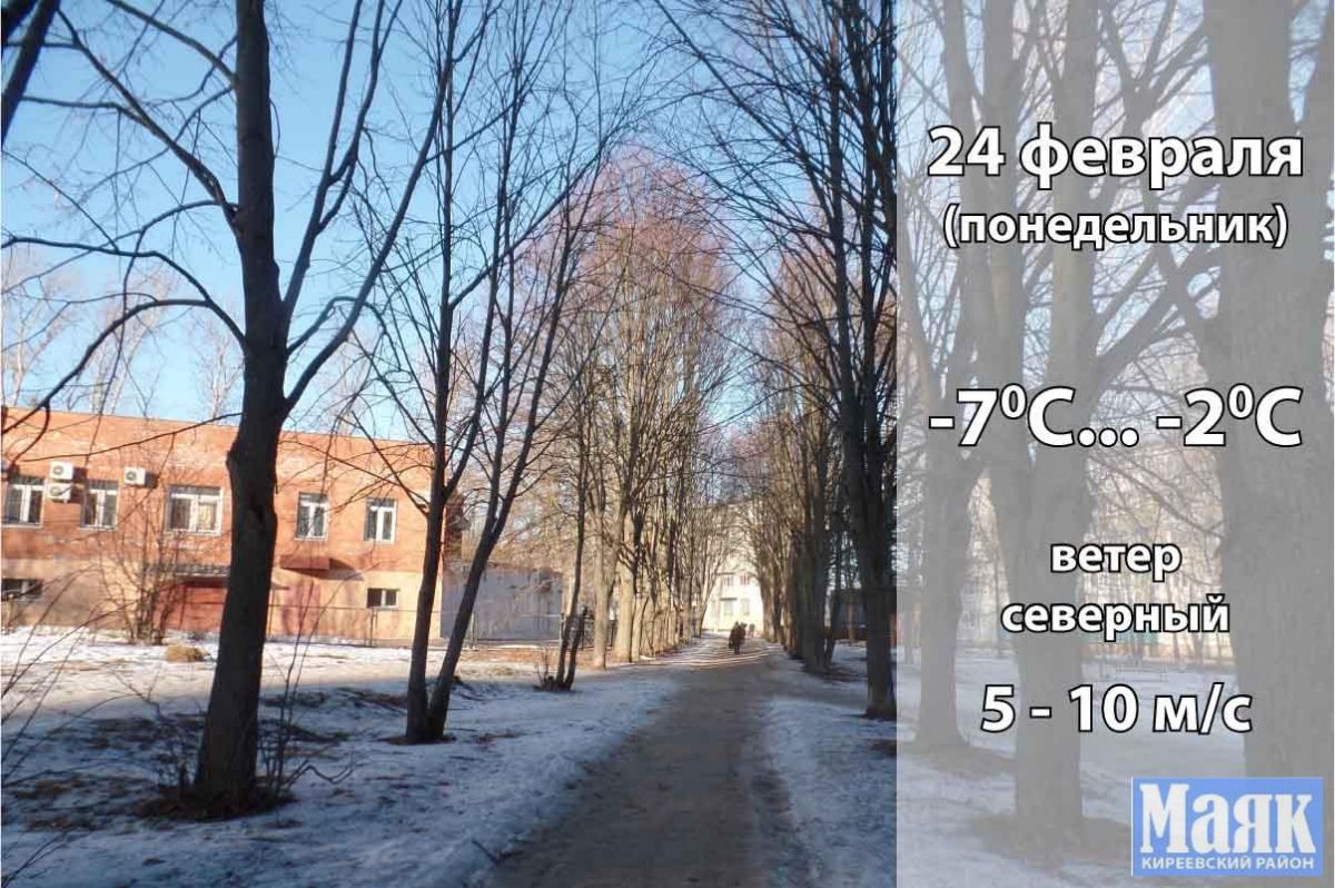 24 февраля: погода в Киреевском районе и народные приметы дня