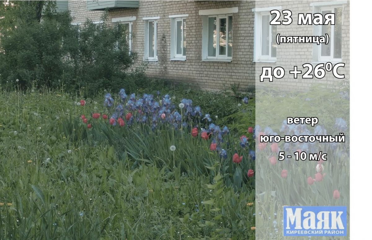 23 мая: погода в Киреевском районе и народные приметы дня 23 мая: погода в Киреевском районе и народные приметы дня
