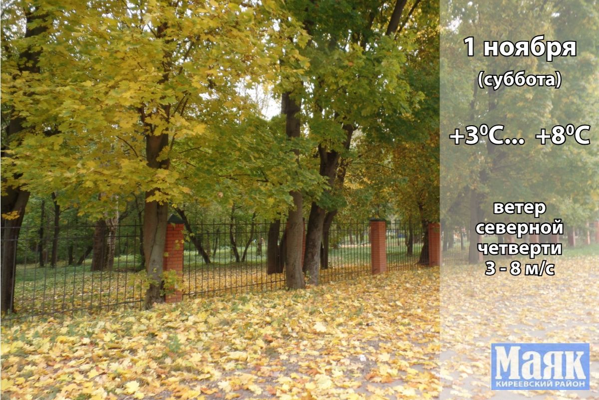 1 ноября: погода в Киреевском районе и народные приметы дня 1 ноября: погода в Киреевском районе и народные приметы дня