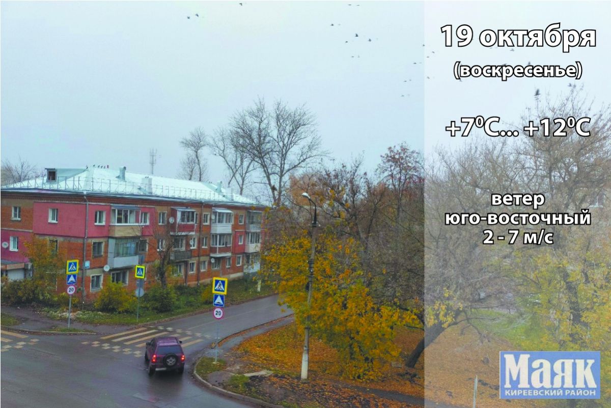 19 октября: погода в Киреевском районе и народные приметы дня 19 октября: погода в Киреевском районе и народные приметы дня
