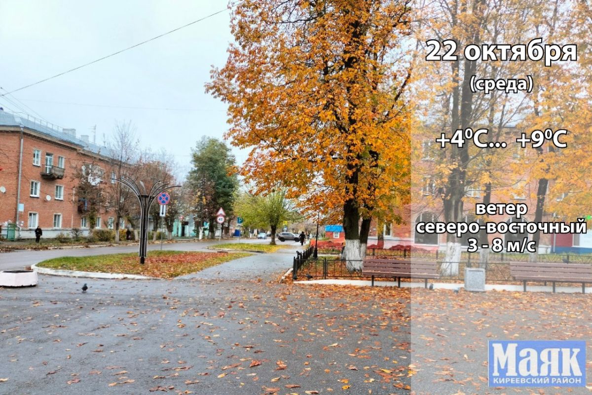 22 октября: погода в Киреевском районе и народные приметы дня 22 октября: погода в Киреевском районе и народные приметы дня
