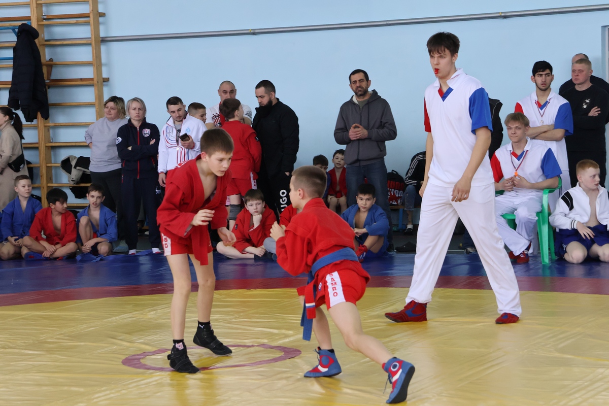 В Дедилово в четвёртый раз проходит открытый турнир по самбо памяти Юрия Павловича Ефремова В Дедилово в четвёртый раз проходит открытый турнир по самбо памяти Юрия Павловича Ефремова