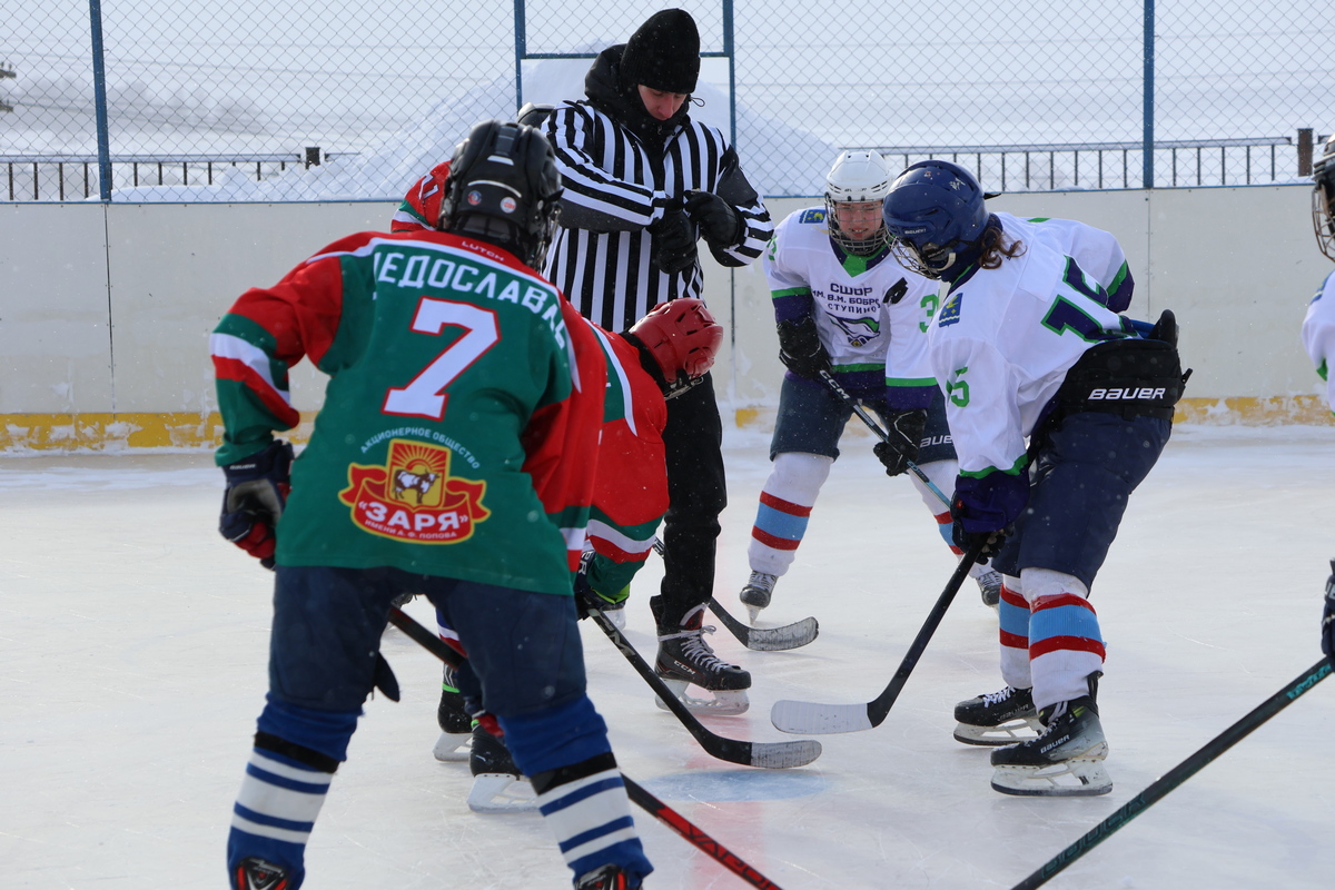На хоккейной площадке села Дедилово соревнуются четыре команды На хоккейной площадке села Дедилово соревнуются четыре команды