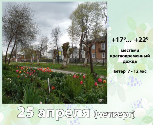 25 апреля: погода в Киреевском районе и народные приметы дня