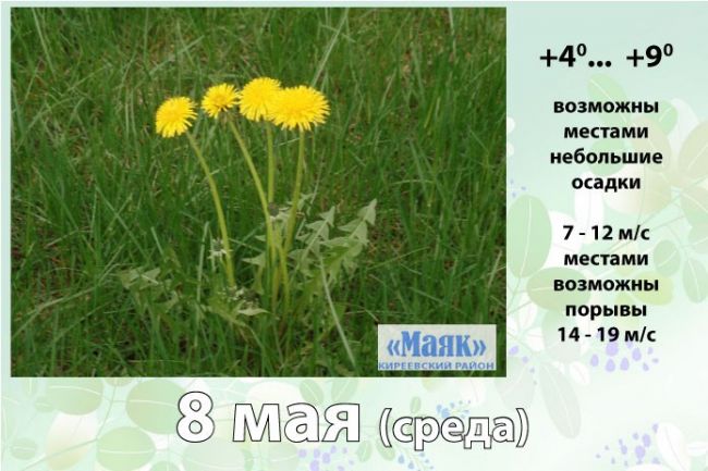 8 мая: погода в Киреевском районе и народные приметы дня