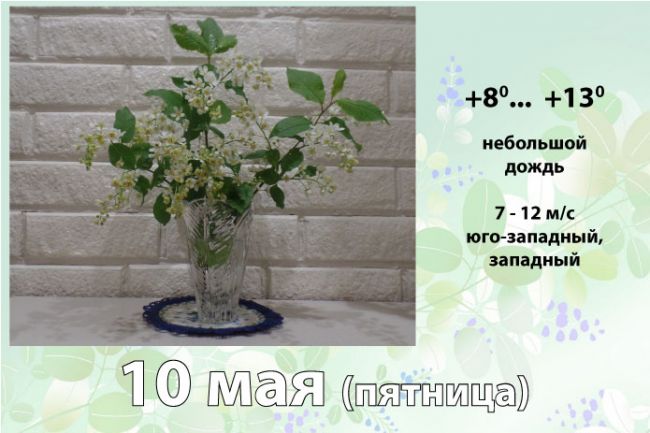 10 мая: погода в Киреевском районе и народные приметы дня