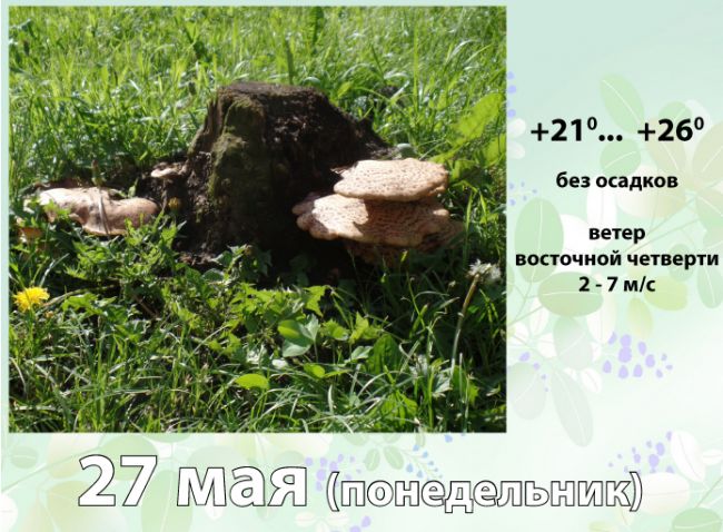 27 мая: погода в Киреевском районе и народные приметы дня