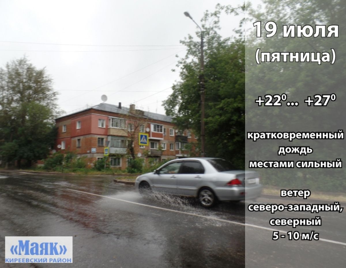 19 июля: погода в Киреевском районе и народные приметы дня