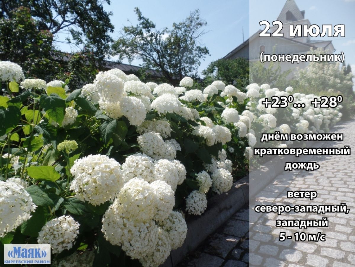 22 июля: погода в Киреевском районе и народные приметы дня