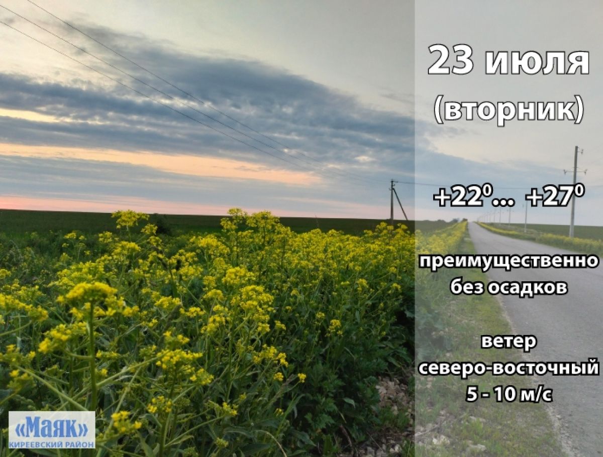 23 июля: погода в Киреевском районе и народные приметы дня