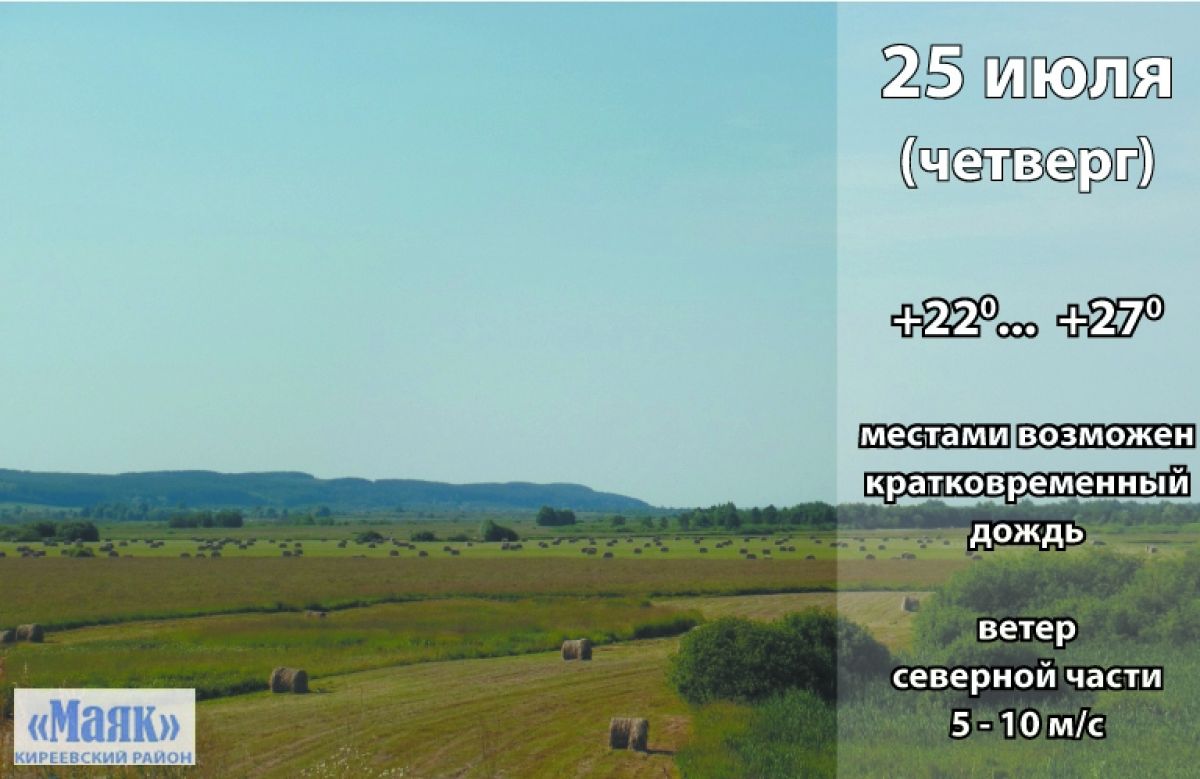 25 июля: погода в Киреевском районе и народные приметы дня