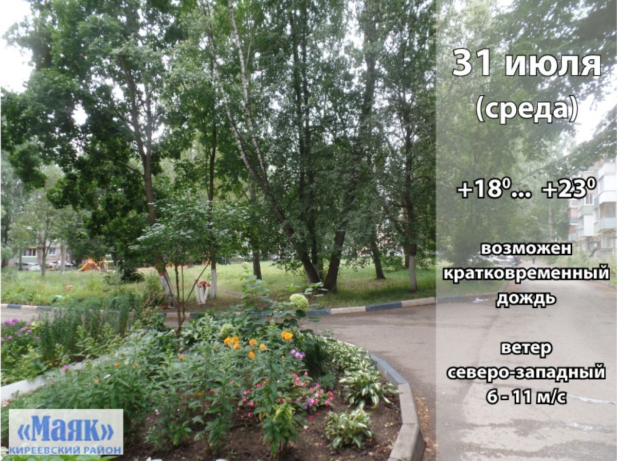 31 июля: погода в Киреевском районе и народные приметы дня