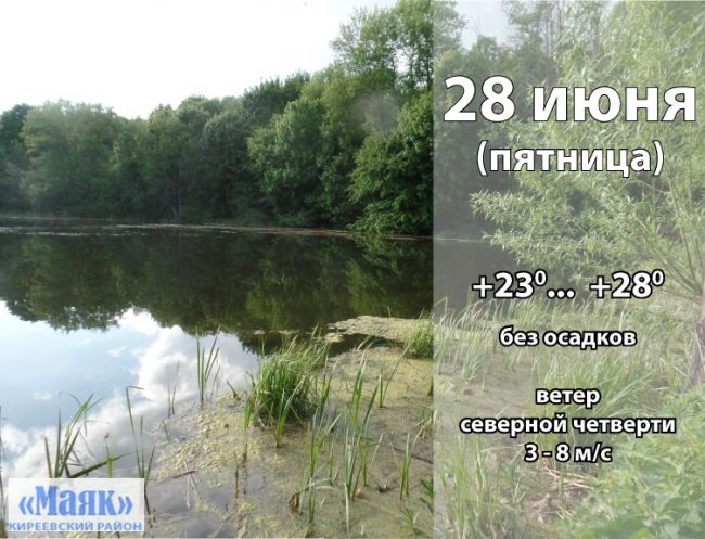 28 июня: погода в Киреевском районе и народные приметы дня
