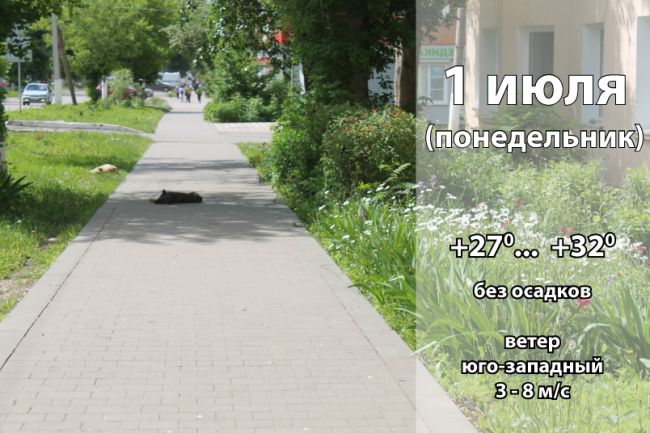 1 июля: погода в Киреевском районе и народные приметы дня