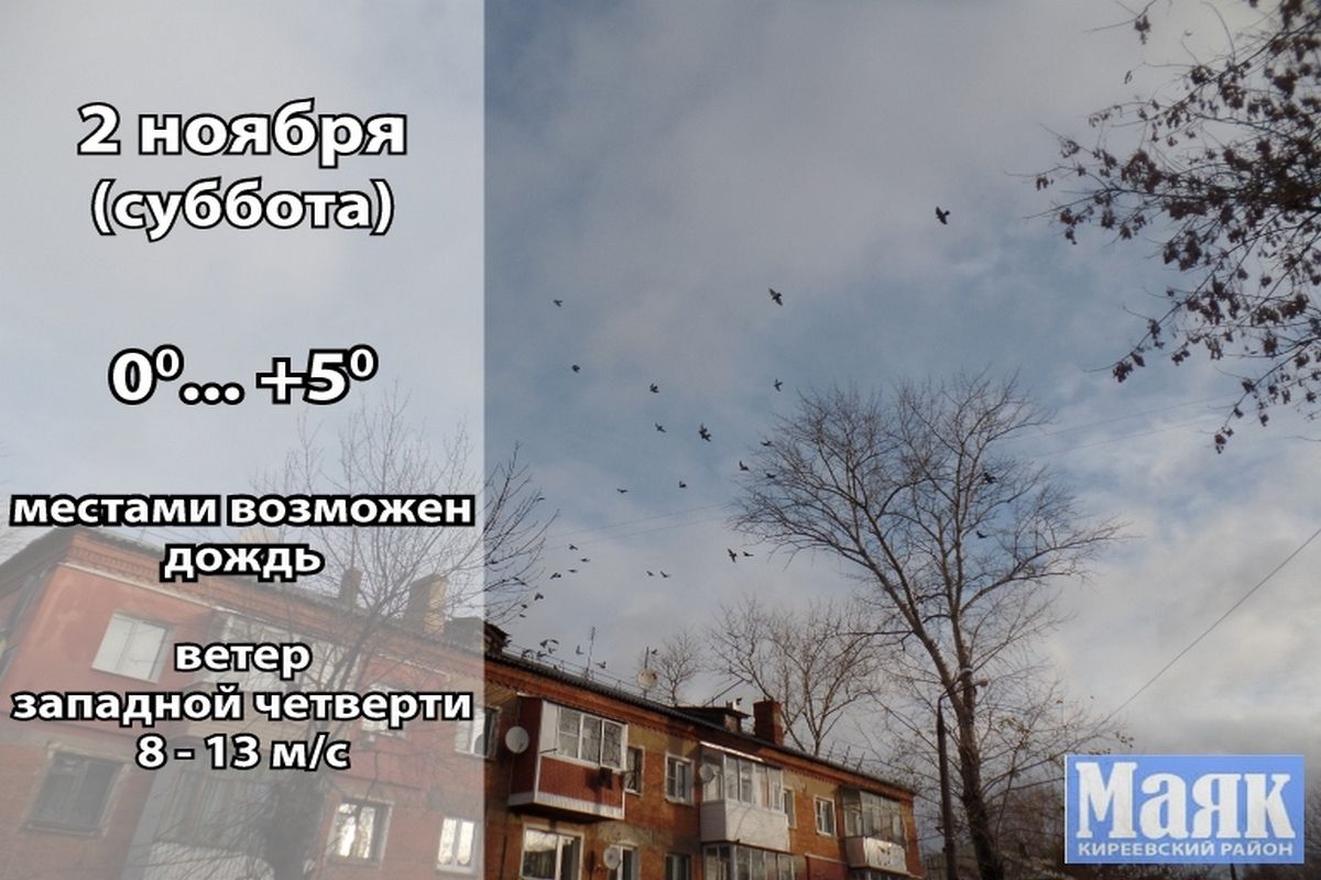 2 ноября: погода в Киреевском районе и народные приметы дня
