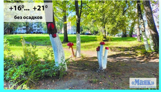 14 сентября: погода в Киреевском районе и народные приметы дня