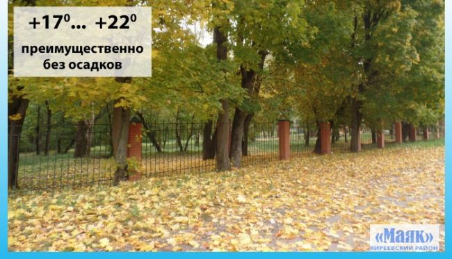 18 сентября: погода в Киреевском районе и народные приметы дня