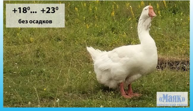 28 сентября: погода в Киреевском районе и народные приметы дня