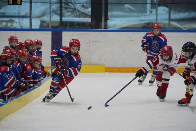 Юные хоккеисты Тульской области вернулись с победой в Кубке Федерации хоккея Москвы