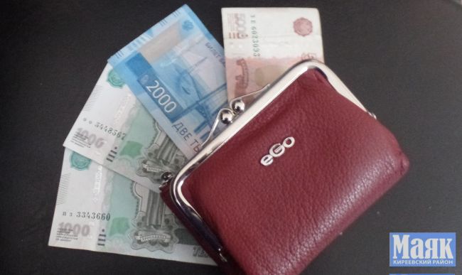 Двое липковчан украли в магазине кошелёк у покупателя