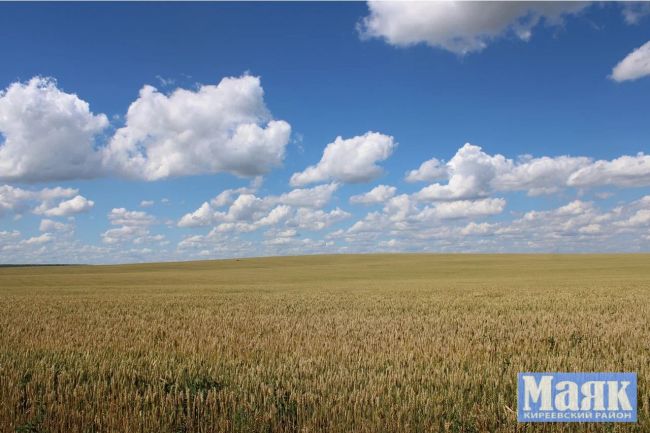 Где сегодня киреевские сельхозники будут обрабатывать посевы