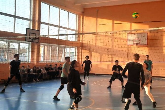 Районные соревнования по волейболу среди школьников