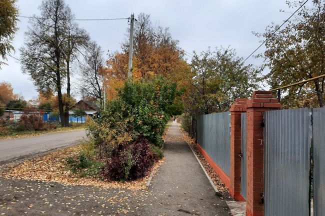 Как прикопать саженцы куркинцам рассказали специалисты «Россельхозцентра»