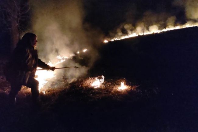 В Грибоедово бдительные жители затушили пожар