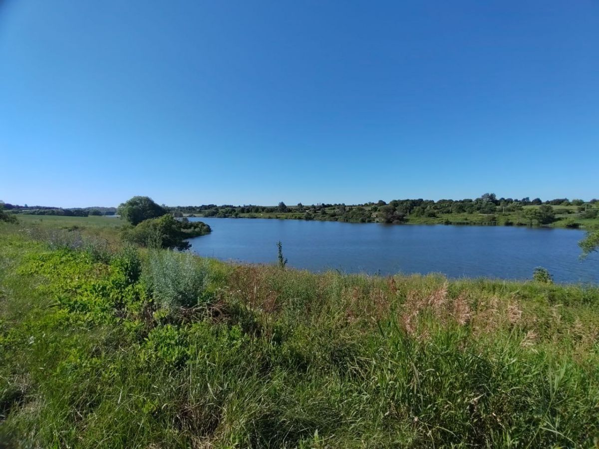 В Куркино днем малооблачно, без осадков