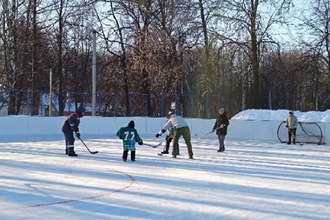 Куркинцев приглашают принять участие в семейном фестивале «Мама, папа, я – хоккейная семья»