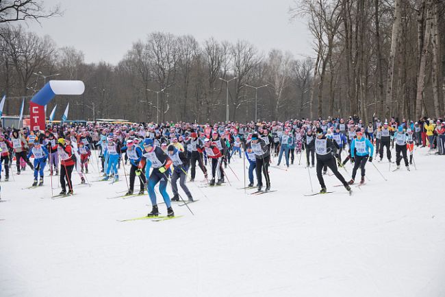 Куркинцы могут принять участие в массовых лыжных гонках