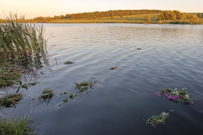 Сегодня в Куркинском районе +24°C