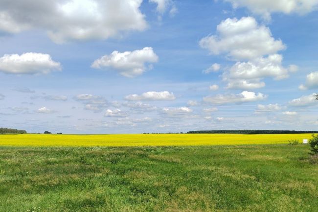 В Куркинском районе сегодня облачно, без осадков