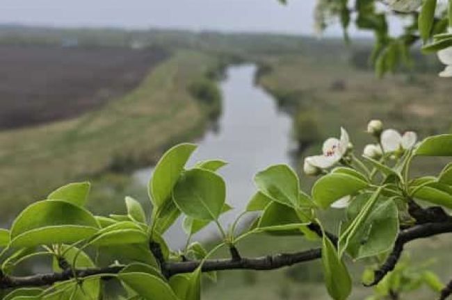 В Куркино сегодня  облачно, дождь