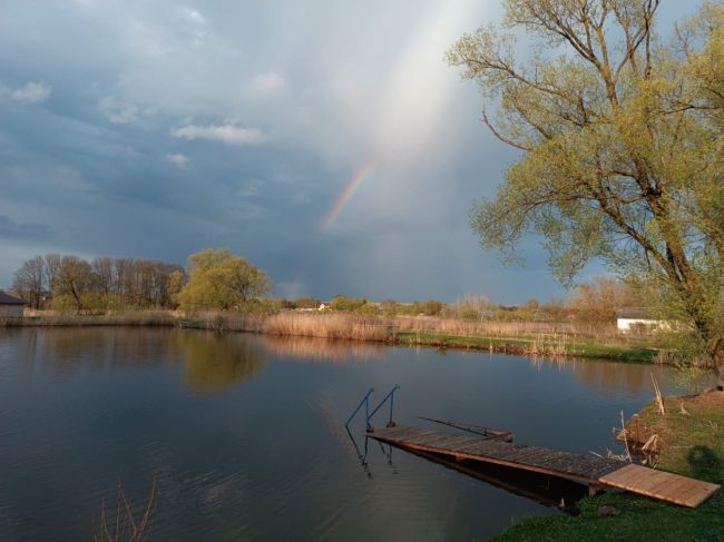 В Куркино облачно, местами с прояснением, кратковременный дождь