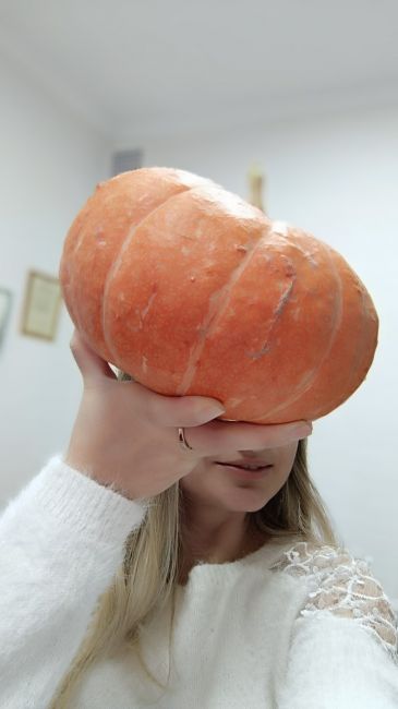 Как куркинцам вернуть деньги за испорченные продукты?