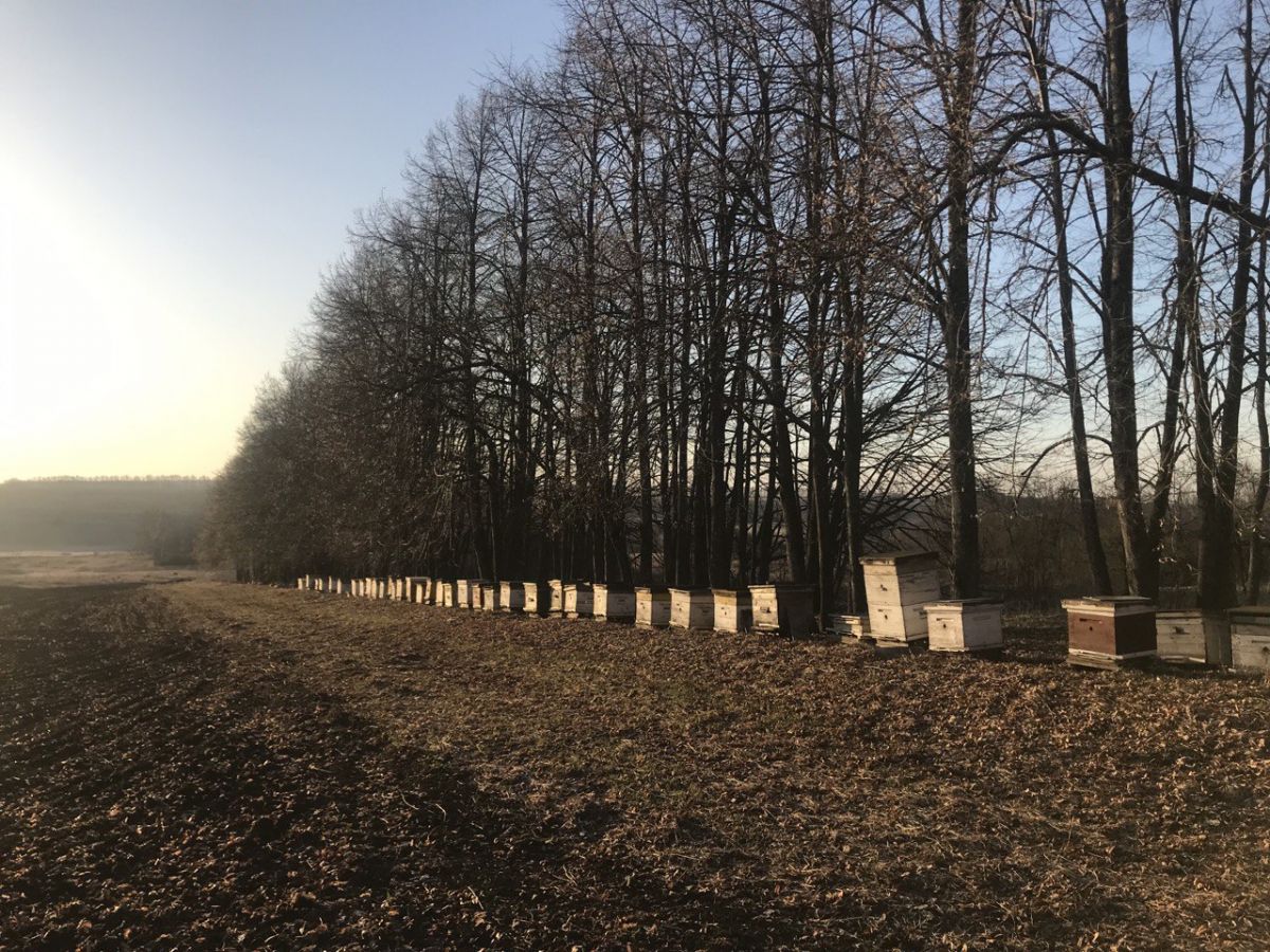 В Куркино ясно, без осадков