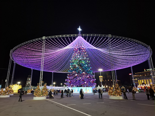 Новогодние мероприятия в Тульской области посвятят семейным ценностям и традициям