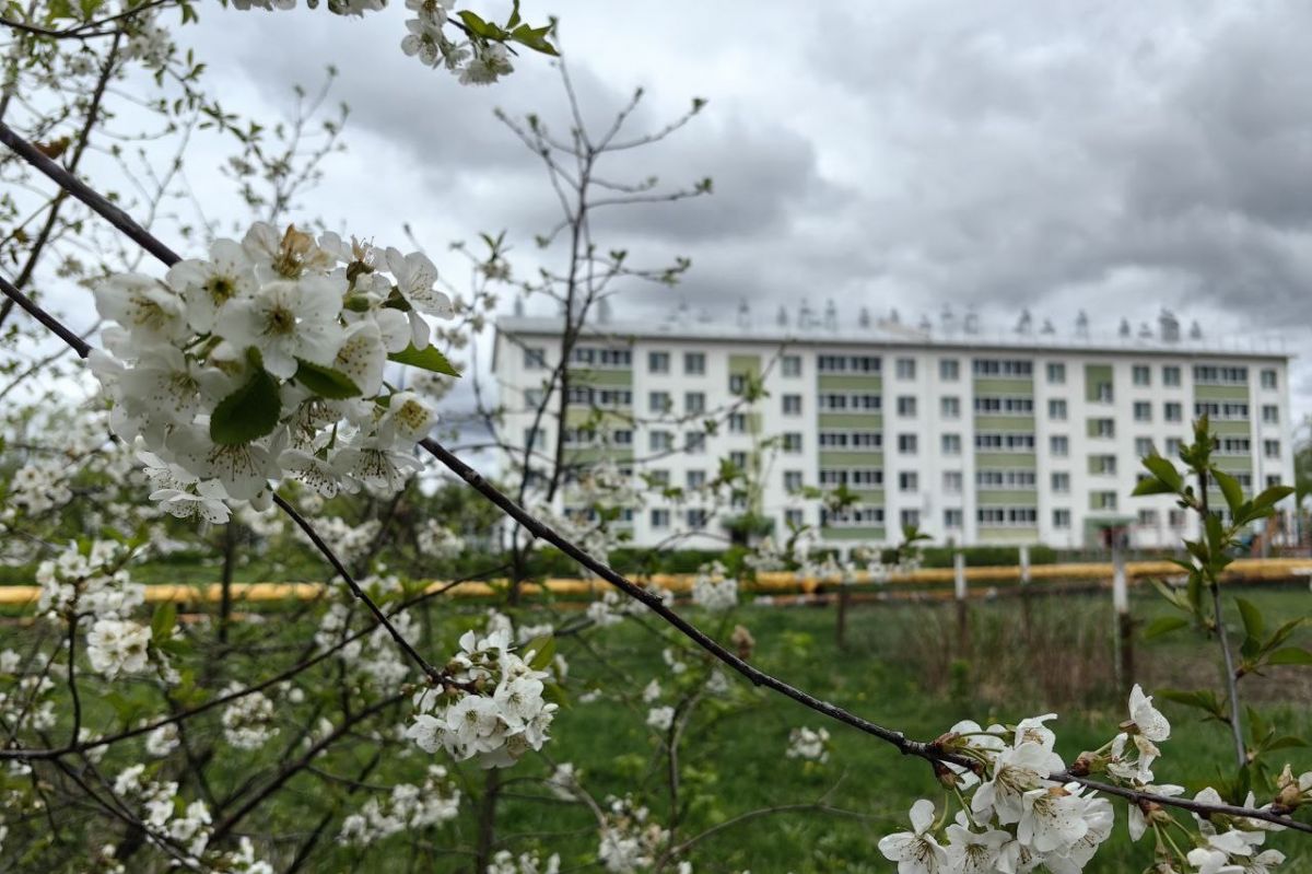 В Куркино облачно, без осадков
