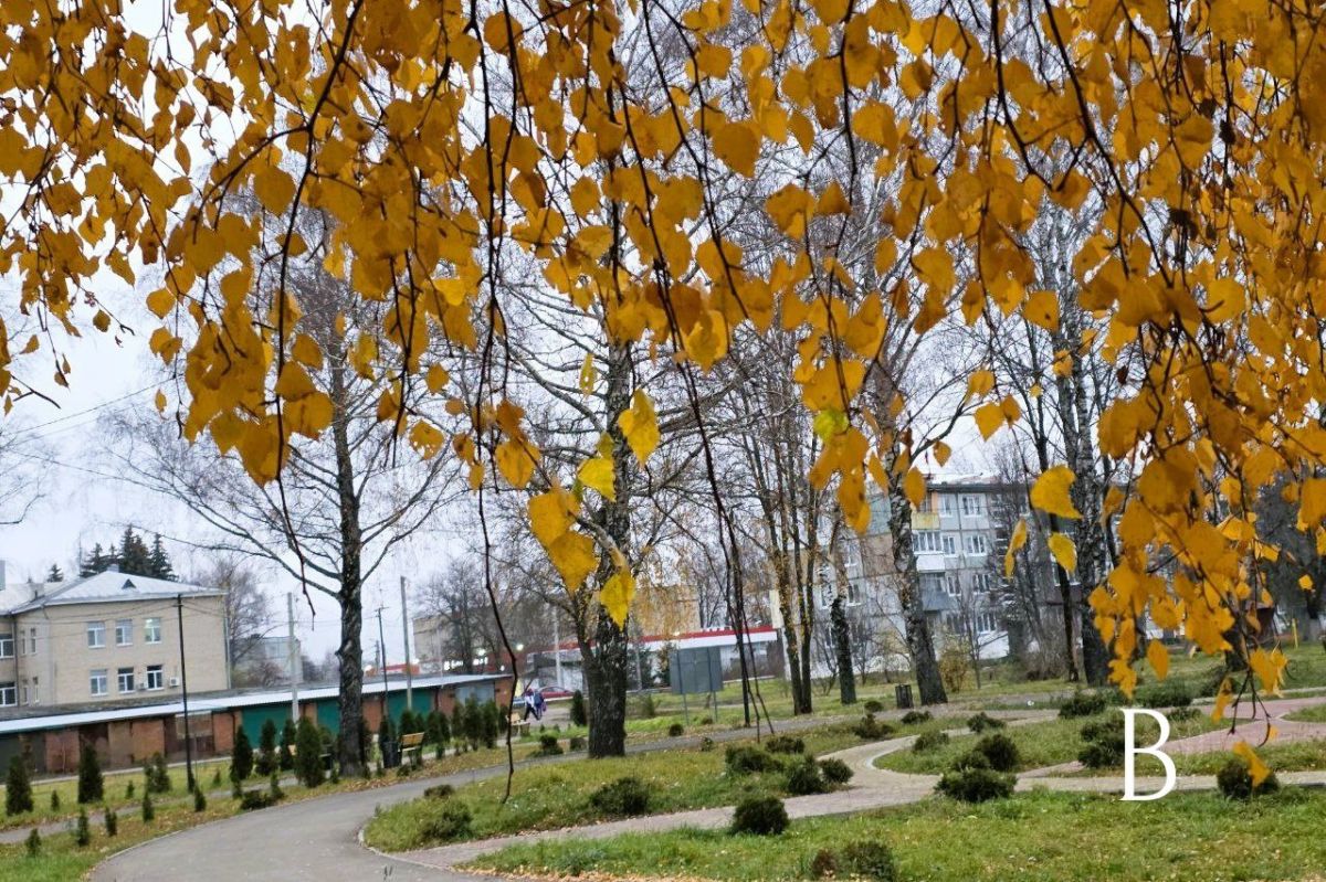 В Куркино пасмурно, кратковременный дождь