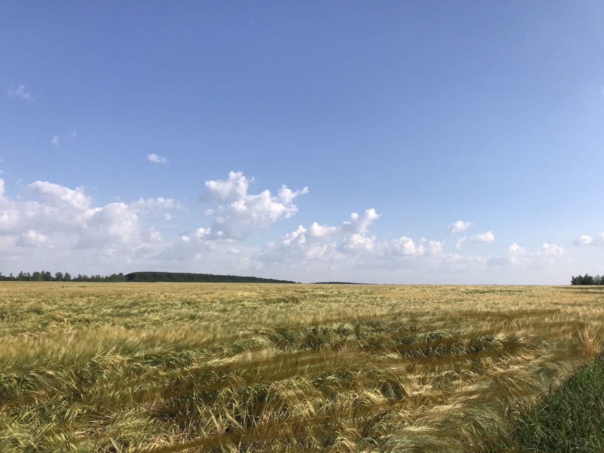 Сколько органических удобрений использовали тульские аграрии в 2024 году