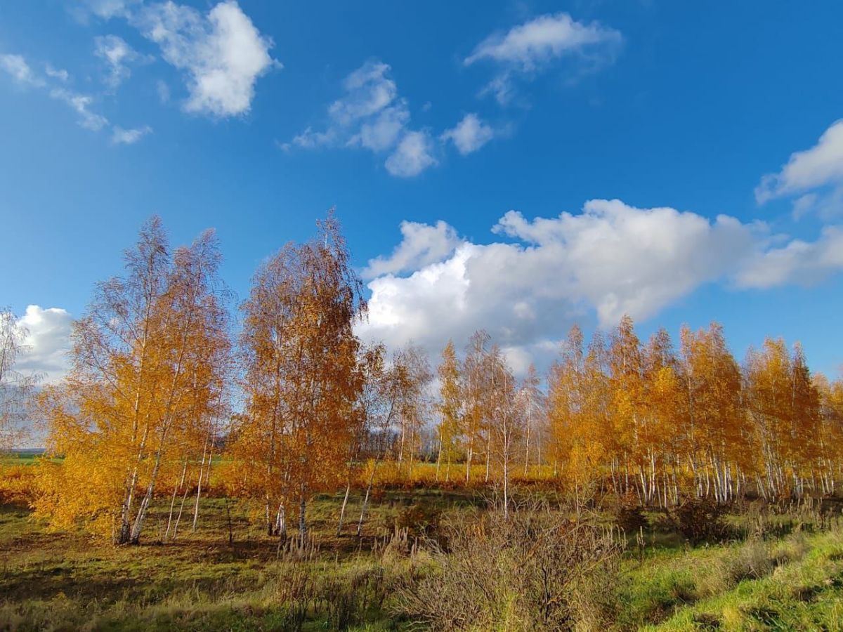 В Куркинском районе облачно, без осадков В Куркинском районе облачно, без осадков